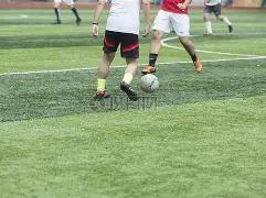 揭秘,手绘赛道,明星职场爆,米兰体育官网,米兰体育直播,体育赛事直播,足球直播