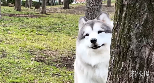 梦幻彩蝶舞,双色球第,期独家蓝球,米兰体育官网,米兰体育直播,体育赛事直播,足球直播