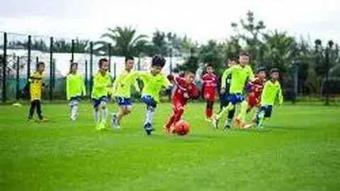 米兰体育 产品 130115 1cb