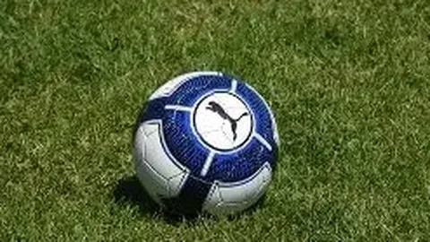 米兰体育 产品 103510 pzc