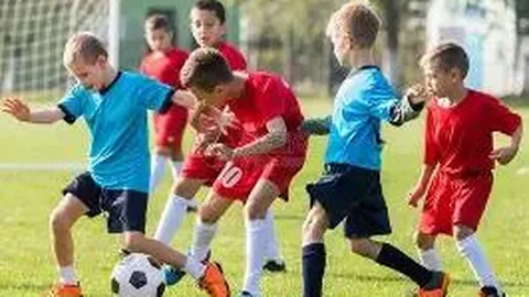 米兰体育 产品 095112 p7m